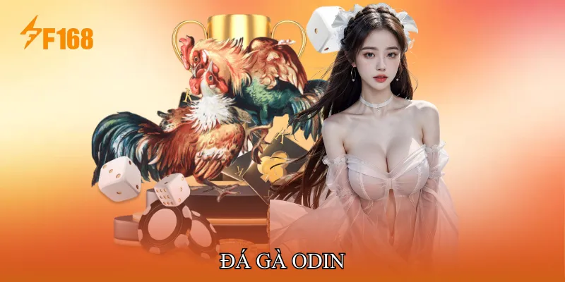 Đá Gà ODIN Trực Tiếp Trận Đấu Sống Động Trên Nền Tảng F168
