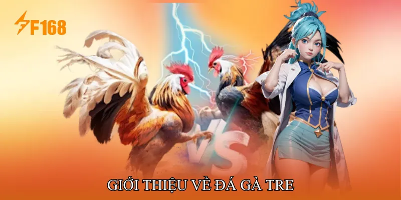 Giới thiệu về Đá gà tre Giới thiệu về Đá gà tre