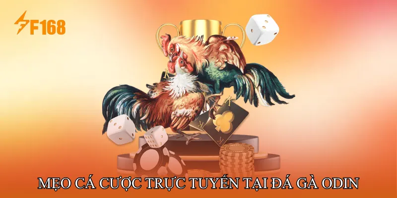 Mẹo cá cược trực tuyến tại Đá gà ODIN Mẹo cá cược trực tuyến tại Đá gà ODIN