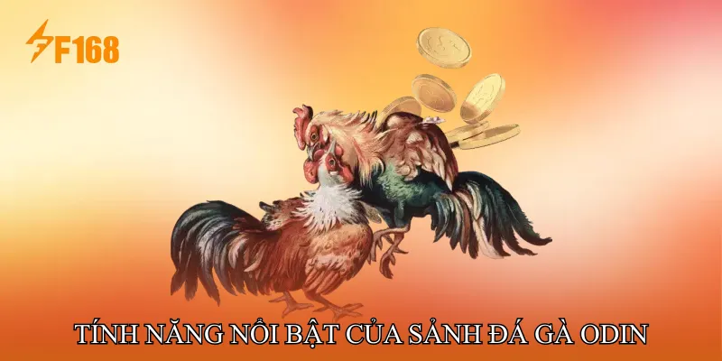 Tính năng nổi bật của Sảnh Đá gà ODIN Tính năng nổi bật của Sảnh Đá gà ODIN